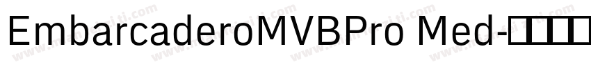 EmbarcaderoMVBPro Med字体转换